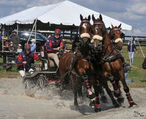 Chester Weber wins the FEI 2* Horse Teams division at the Hermitage Classic CDE (Photo courtesy of Pics Of You)