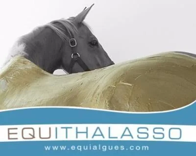 equithalasso