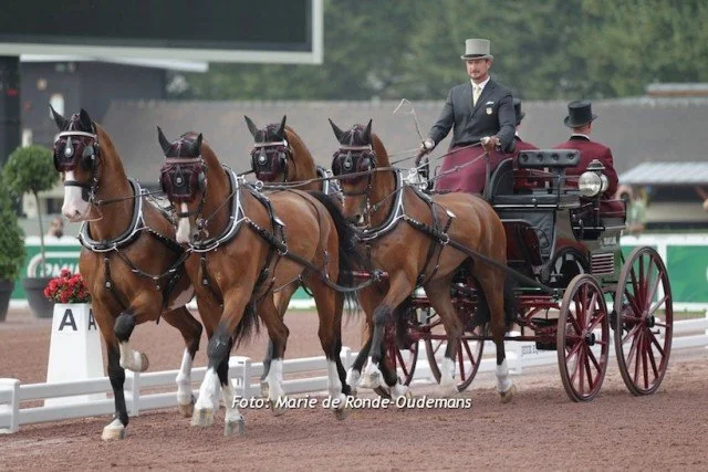 Chester Weber Holds Lead as Top Driver in the  World on FEI Four-in-Hand Standings