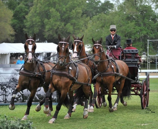 It’s All About Teamwork:  Chester Weber and Live Oak International