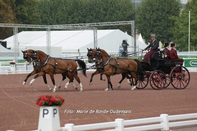 Chester Weber Lands Individual Silver at 2014 Alltech World Equestrian Games