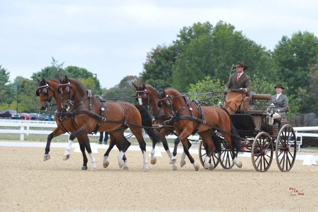 Chester Weber Takes The Lead Winning  The Dressage Phase at 2015 CAI2*  Kentucky Classic CDE