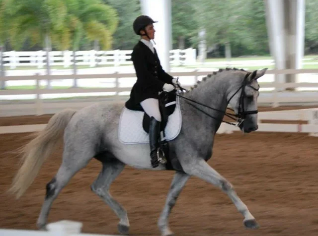 Four-in-Hand Driving Savant Chester Weber Welcomes  Maria Hallet as Stable Manager