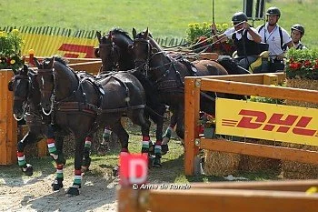 Hungarian-Dutch reinforcements  for Chester Weber