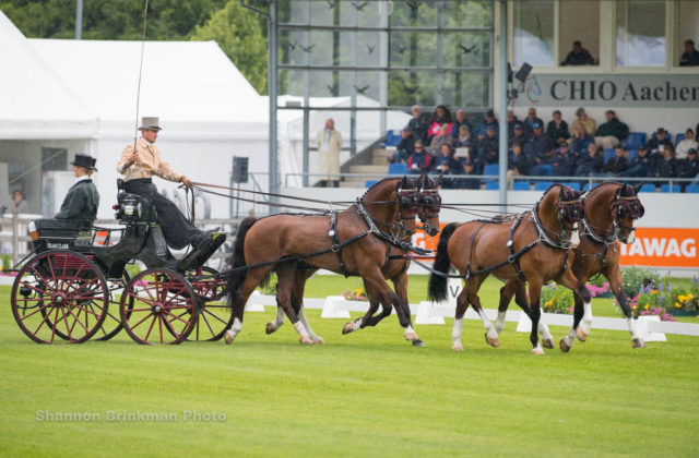 Chester Weber Drives in to Top Three after  Dressage Phase at CHIO Aachen