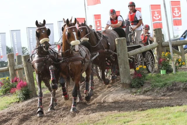 Chester Weber Concludes European Tour as Top Placing American at 2016 FEI World Driving Championships