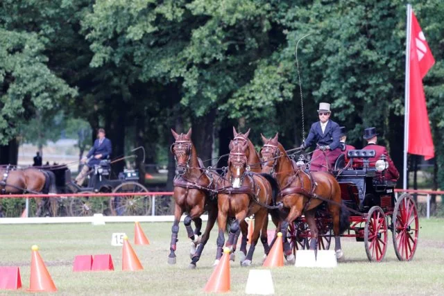 Chester Weber Tops  International Leader Board at Drebkau CAI 3*