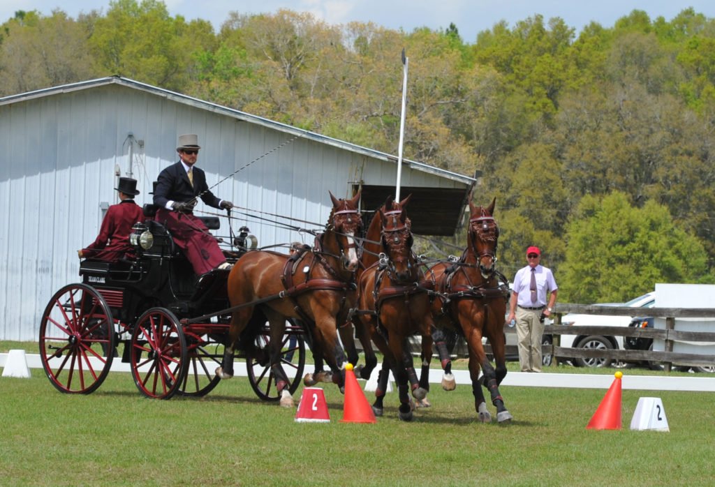 Team Weber Takes the Victory Lap at Kingdom of the Sun CDE Before ...