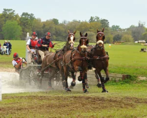 Chester Weber wins the Kingdom of the Sun CDE 2* at the Florida Horse Park in Ocala, Florida (Photos courtesy of Pics Of You).