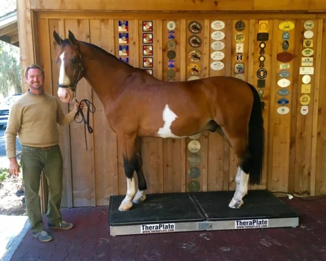 13-Time USEF Four-in-Hand National  Champion Combined Driver Chester Weber  is a TheraPlate Brand Ambassador