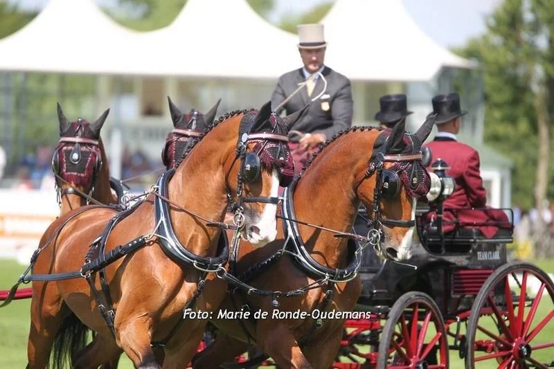 Chester Weber Makes History as First American to Win the Four-in-Hand Division at the CHIO Aachen