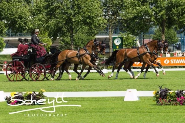 Team Weber Takes the Lead Following Dressage Phase at CAIO4* Aachen
