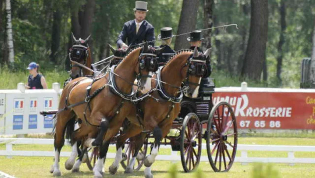 Chester Weber Honored at USEF Convention