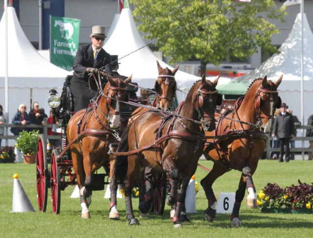 Chester Weber Named Driving Horseman Of The Year By  The Chronicle Of The Horse Magazine
