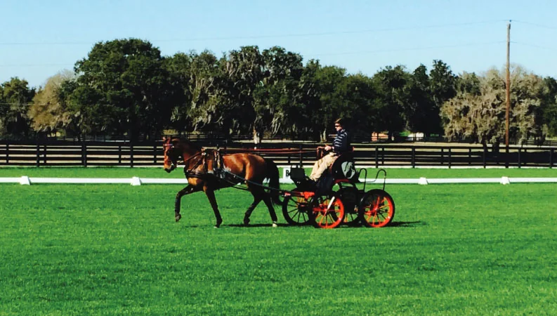 Chester Weber’s First Live Oak Driver Apprentice  Brings a Real ‘Wise Guy’