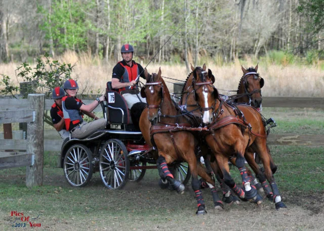 It’s Weber’s World At the Little Everglades International CDE