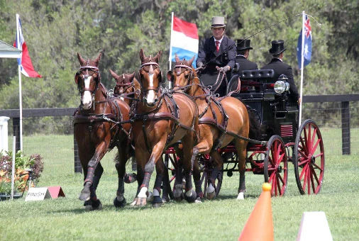 Mark Your Calendars For March 22-25 – Live Oak International Celebrates 20th Anniversary With World Class Combined Driving And Exciting New FEI CSI** Show Jumping