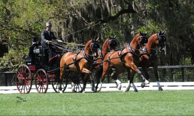 Weather or not-  Weber Wins 2013 Live Oak International CDE