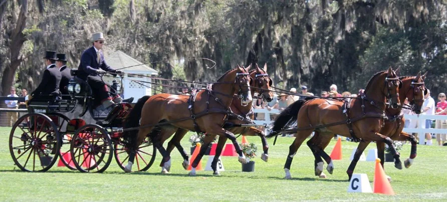Chester Weber Breaks Record With Ninth USEF National Four-In-Hand Championship Win During 2012 Live Oak International