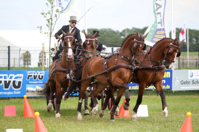 “Mr. Dressage” Is Back: Chester Weber Begins  European Tour With Success at 2012 CAI Lähden