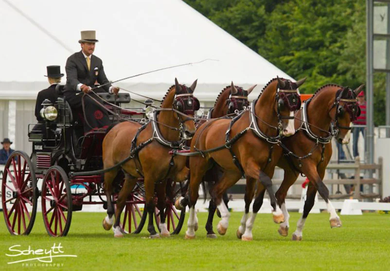 Chester Weber Takes The Lead at Aachen With Record Score in Dressage