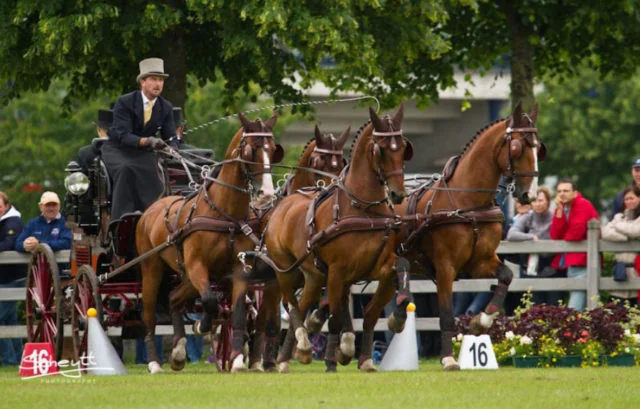 Chester Weber Scores Top 3 Finish at Aachen,  Looks to 2014 World Equestrian Games
