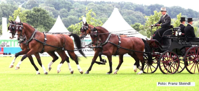 Tied & True: Weber Breaks Record at 2012 CAIO  Aachen and Shares the Win for the Prize of the Martello  Immoblienmanagement