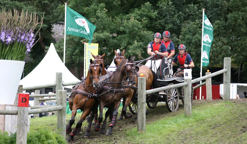 Combined Driver Chester Weber Shuffles the Team at CAI Beekbergen Winning the Dressage and Finishing in the Top 4 Overall