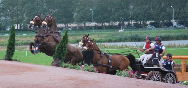 Weber Undefeated in France Following Win in CAI-A4  Caen Test Event for 2014 WEG-Normandy