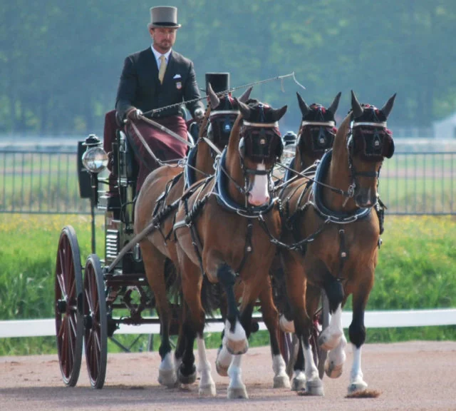 Team Weber Undefeated in Dressage on European Tour