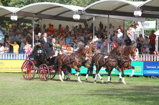 Individual Silver- Team Bronze- Dual Medals for Chester Weber At Driving World Championships