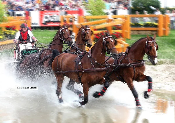 Assure System Helps Drive Chester Weber’s Team to  World Championship Success