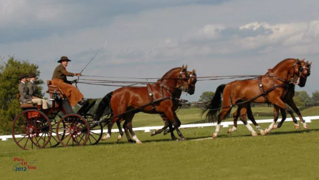 Drivers Have Unique Opportunity for Photo Critique by  Champion Chester Weber
