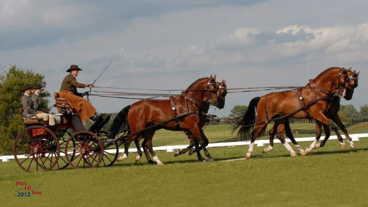 Drivers Have Unique Opportunity for Photo Critique by Champion Chester Weber