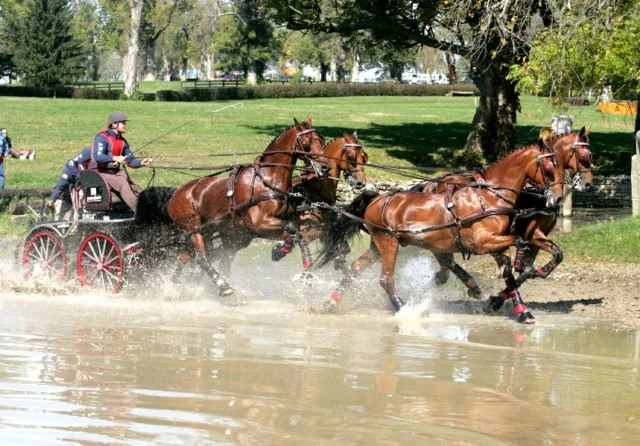 Chester Weber and Team Show How It’s Done Winning  Advanced Horse Team at the Kentucky Classic