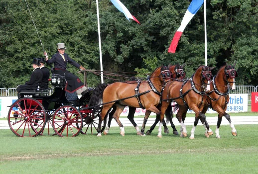 Cast Your Vote For Chester Weber and Help Him Make History as the First Combined Driver to Win Equestrian of the Year! Vote For Combined Driver Chester Weber For The Coveted 2011 USEF Equestrian Of The Year Title
