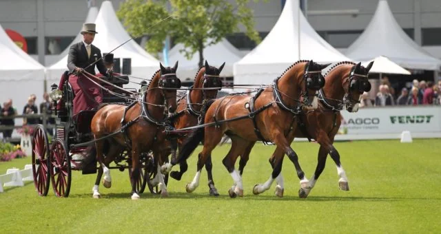 U.S. Combined Driving Champion Chester Weber  Announces European Tournament Schedule