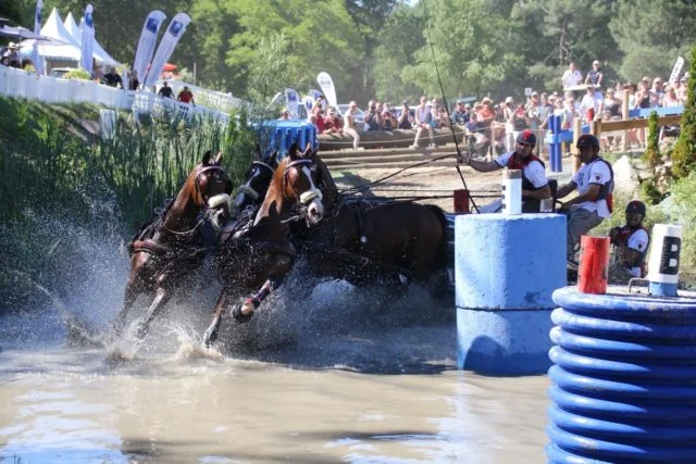 Two Top European Finishes in June For  US National Four-in-Hand Champion Chester Weber