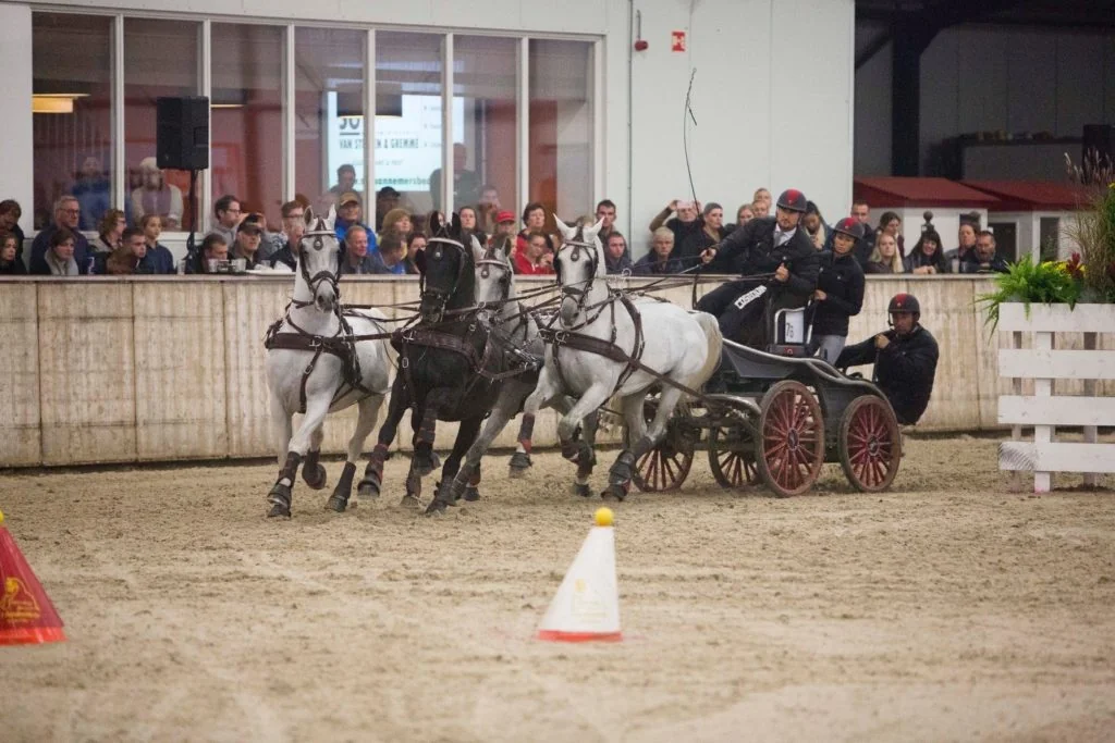 Chester Weber Climbs to Number Two in the World Rankings for Four-in-Hand Driving