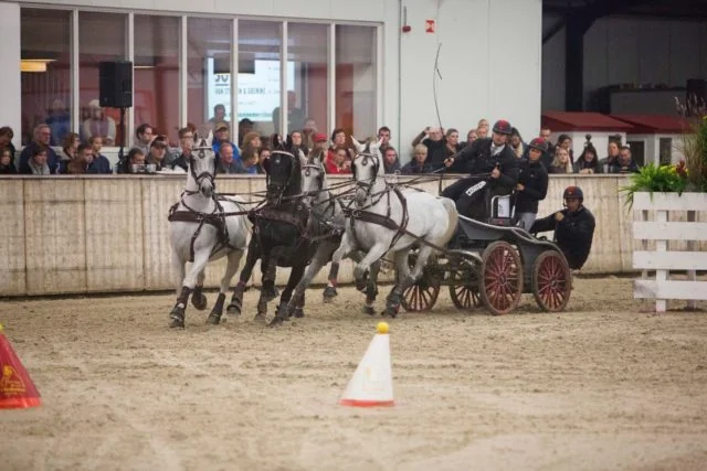 Chester Weber Climbs to Number Two in the World Rankings for Four-in-Hand Driving
