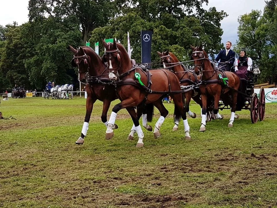 US Driver, Chester Weber Wins Four-In-Hand Combined Driving at Germany’s Donaueschingen CHI3*