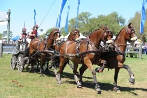 Chester Weber racing towards a 15th national championship. (Photo courtesy of PicsofYou)