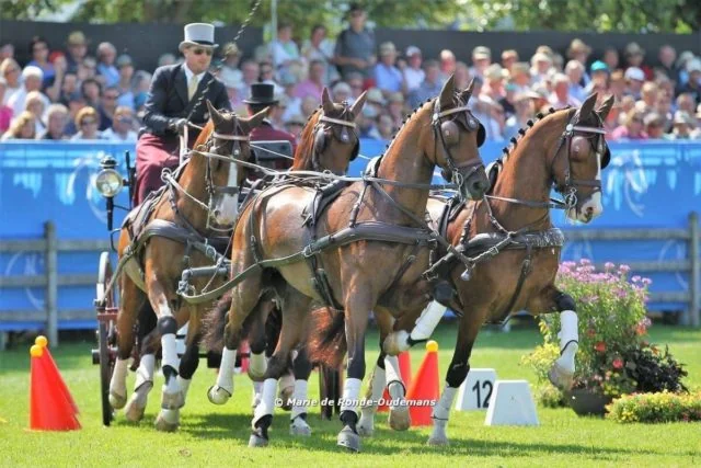 Weber Places Top-Ten Overall at World Equestrian Festival CHIO Aachen