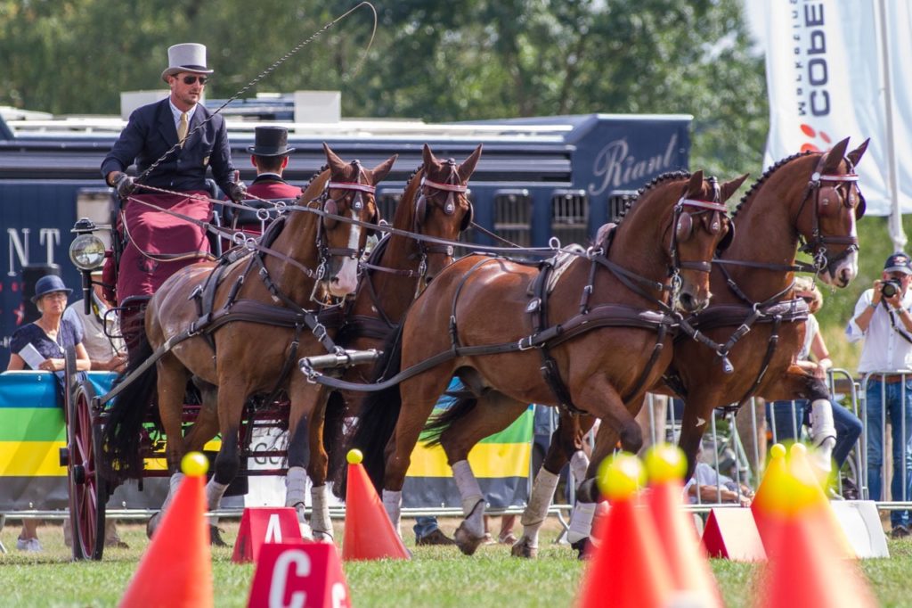 Chester Weber Wins Beekbergen CAI3* to Round Out Successful Summer Tour