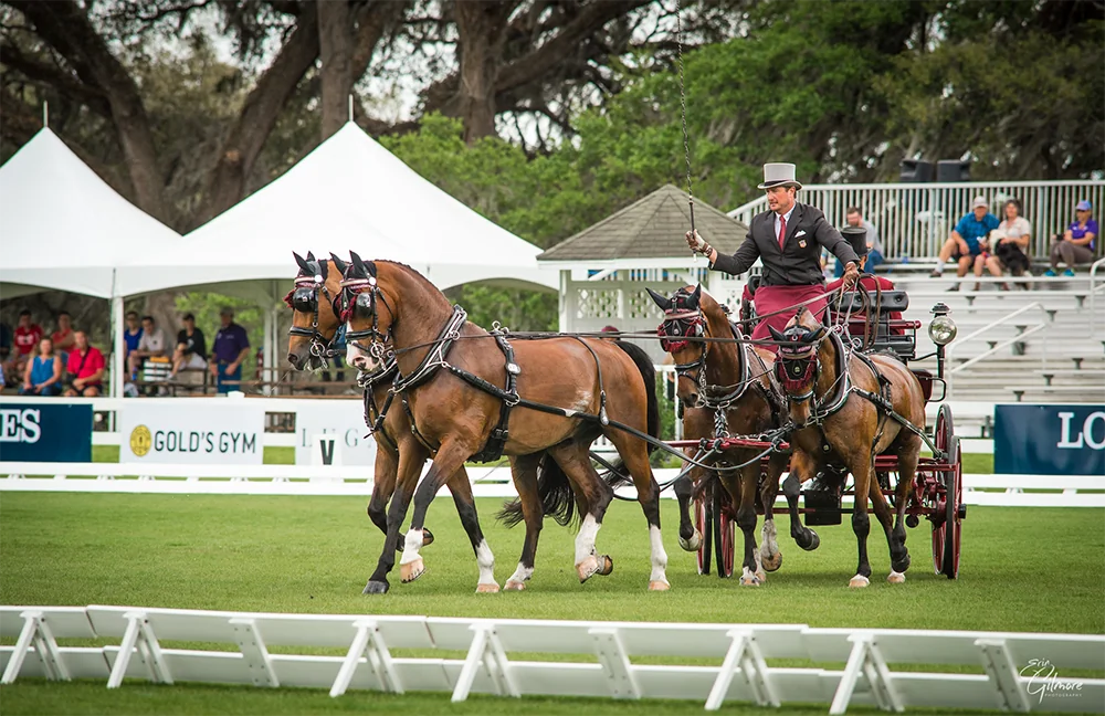 CHESTER WEBER TAKES A STEP TOWARDS HIS 17TH NATIONAL TITLE WITH A WIN IN THE FOUR-IN-HAND DRESSAGE