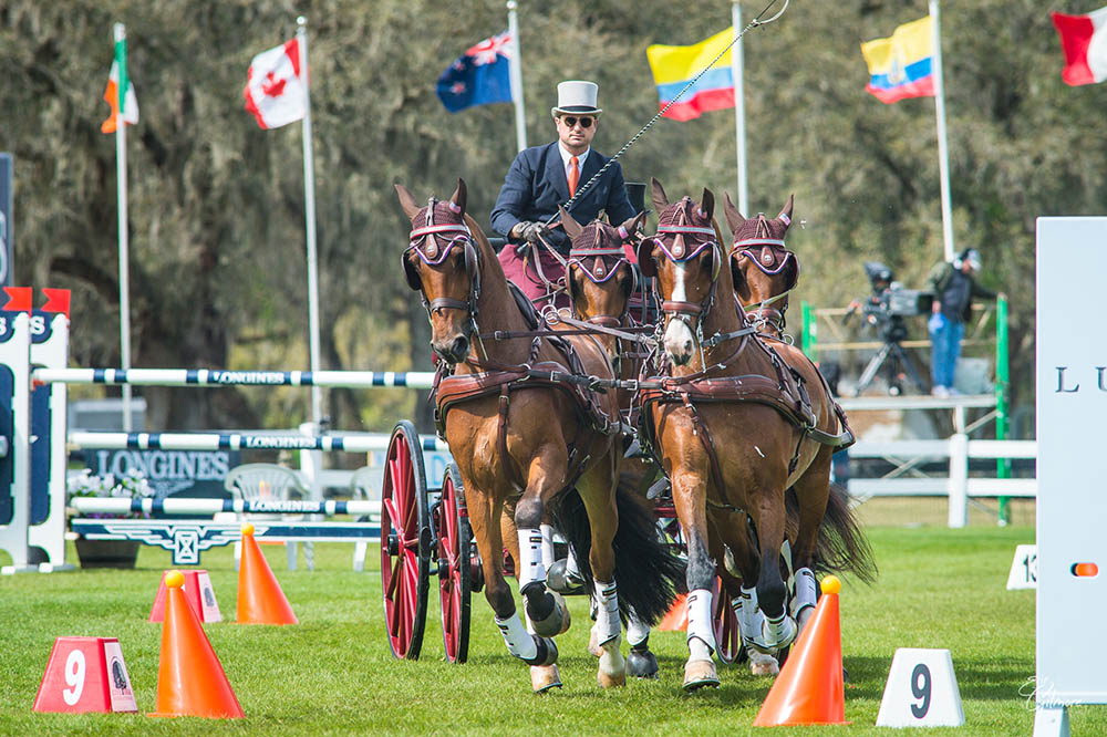WEBER WINS RECORD 17TH USEF COMBINED DRIVING NATIONAL CHAMPIONSHIP
